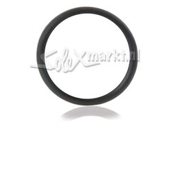 Gasket Fuel Cap (Plastic)